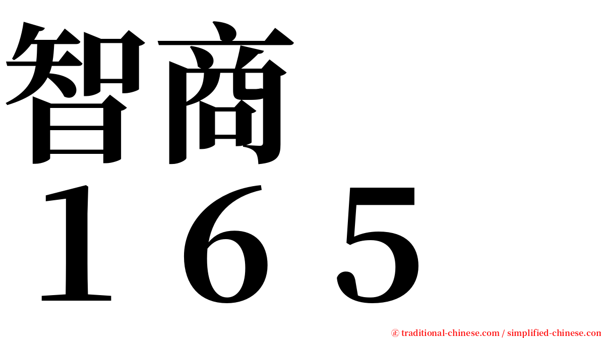 智商　　１６５ serif font